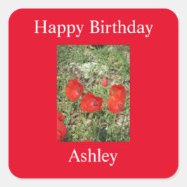 Corfu Red Poppies Sticker