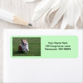 Corgi-Adresetiketten Etiket (Insitu)