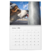 Corgi Agenda 2019 Kalender (Jan 2026)