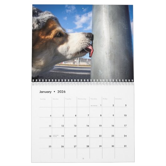 Corgi Agenda 2019 Kalender (Jan 2026)