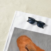 Corgi at the Beach Strandlaken (In situ)