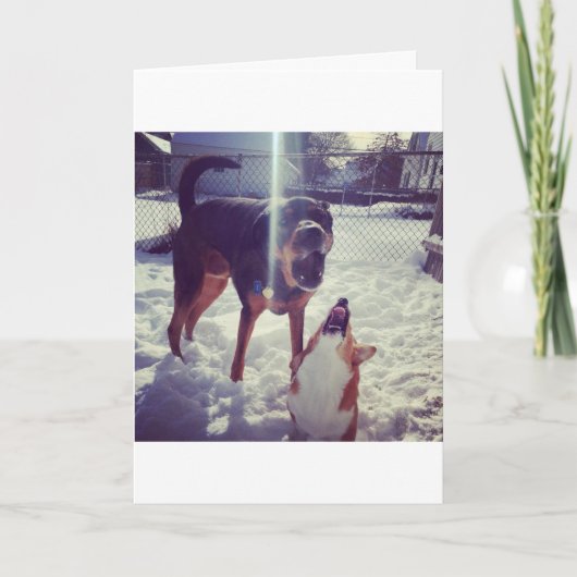 Corgi Beste Vriend Verjaardag Kaart (Voorkant)