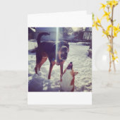 Corgi Beste Vriend Verjaardag Kaart (Gele Bloem)