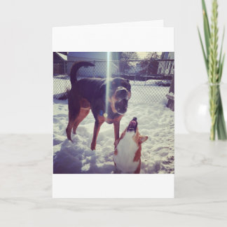 Corgi Beste Vriend Verjaardag Kaart