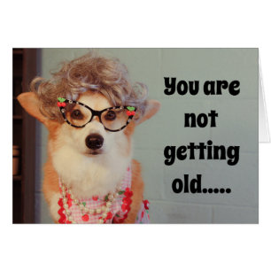 Corgi Birthday-kaart