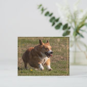 Corgi Briefkaart (Staand voorkant)