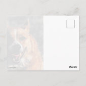 Corgi Briefkaart (Achterkant)