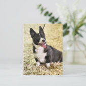 Corgi Briefkaart (Staand voorkant)