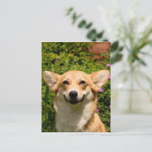 Corgi Briefkaart (Staand voorkant)
