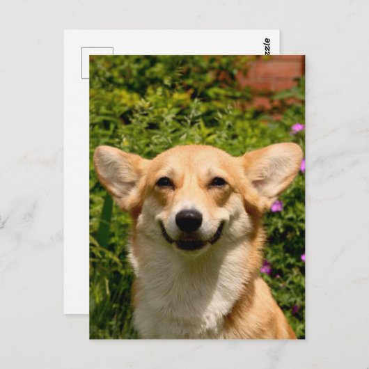 Corgi Briefkaart (Voorkant / Achterkant)