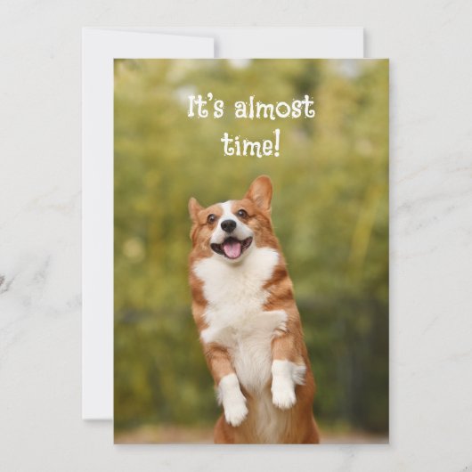 Corgi Bubbles Welcome Students Message Kaart (Voorkant)