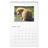 Corgi Butts Agenda 2018 Kalender (Feb 2027)