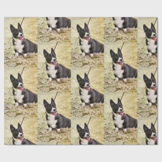 Corgi Cadeaupapier (Vlak)