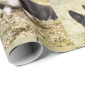 Corgi Cadeaupapier (Rol Hoek)