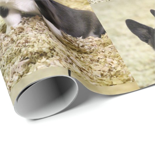 Corgi Cadeaupapier (Rol Hoek)