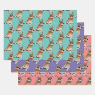 Corgi-cadeaupapierenset Inpakpapier Vel