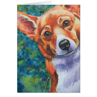 Corgi Curious Dog