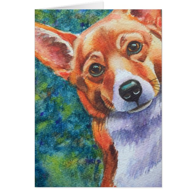 Corgi Curious Dog (Voorkant)