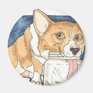 Corgi die op de pindakaas jar tikt magneet