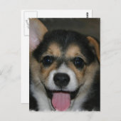 Corgi Dog Briefkaart (Voorkant / Achterkant)