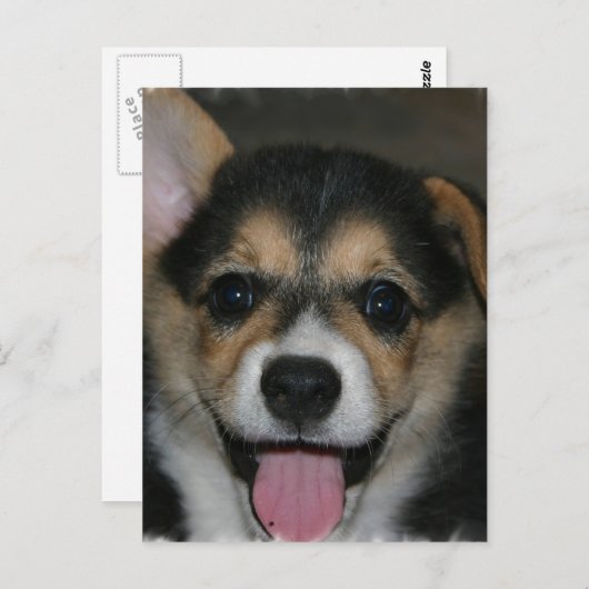 Corgi Dog Briefkaart (Voorkant / Achterkant)