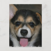Corgi Dog Briefkaart (Voorkant)