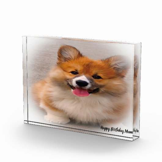 Corgi Dog. Fotoblokken (Rechts)