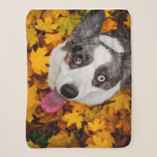 Corgi Dog Gifts| Corgi Dog Sherpa Deken