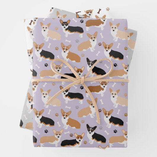 Corgi Dog Paws and Botten Wrapping Paper Sheets (In situ)