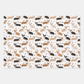 Corgi Dog Paws en Botten Inpakpapier Vel (Voorkant 3)