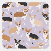 Corgi Dog Paws en Botten