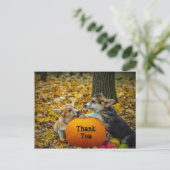 Corgi Dog Pumpkin Herfstfoto Dank u Briefkaart (Staand voorkant)