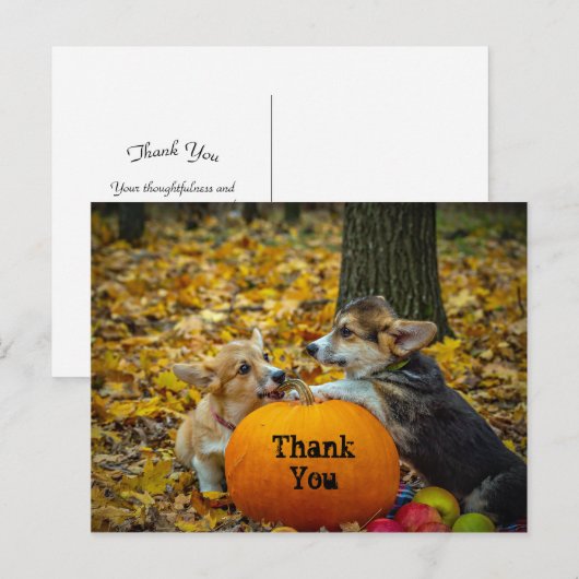 Corgi Dog Pumpkin Herfstfoto Dank u Briefkaart (Voorkant / Achterkant)