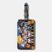 Corgi Dogs Pumpkin Halloween Grappig Bagagelabel (Achterkant verticaal)