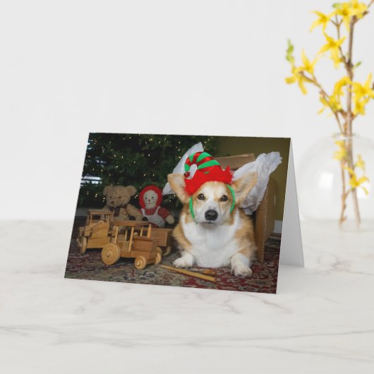 Corgi Elf in a Box Christmas card Kaart (Gele Bloem)