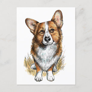 Corgi en koeien briefkaart