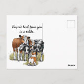 Corgi en koeien briefkaart (Achterkant)