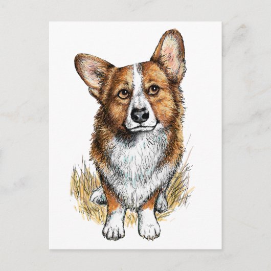 Corgi en koeien briefkaart (Voorkant)