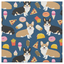 corgi en tricolored corgi junk food