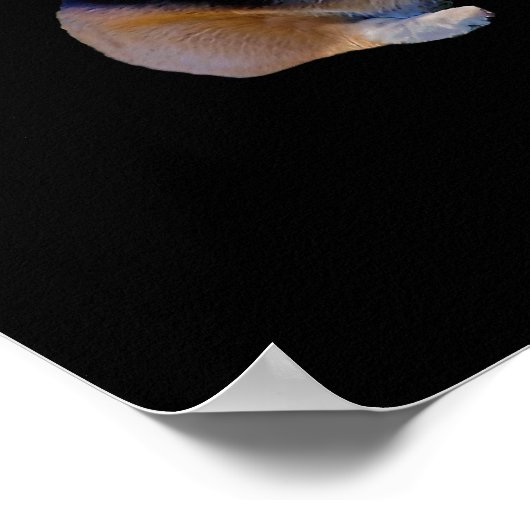 Corgi & Fairy - Funny Pembroke Welsh Corgi Poster (Hoek)