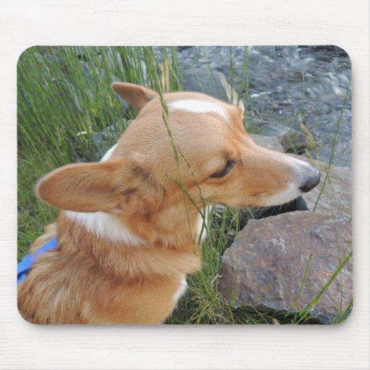 Corgi Fairy Hunter Mousepad Muismat (Voorkant)