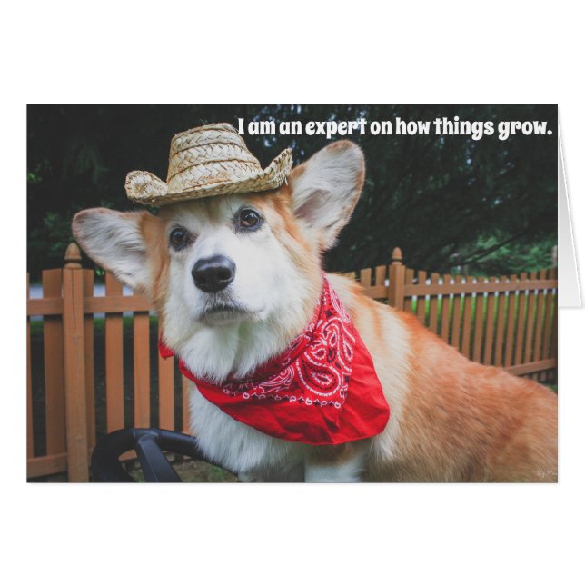 Corgi Farmer Birthday Card (Voorkant Horizontaal)