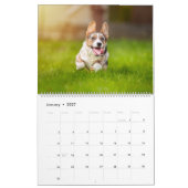 Corgi Fun Kalender (Jan 2027)