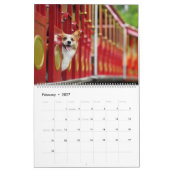 Corgi Fun Kalender (Feb 2027)