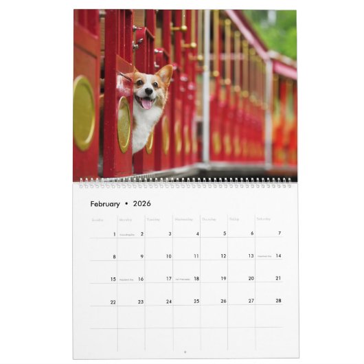 Corgi Fun Kalender (Feb 2026)