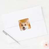 Corgi Gezicht Vierkante Sticker (Envelop)