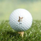 Corgi Golfballen (Insitu Shirt)
