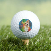 Corgi. Golfballen (Insitu Shirt)