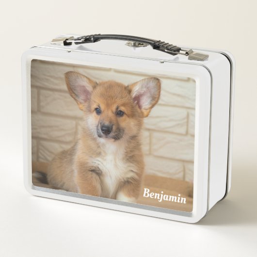 Corgi-hond (Achterkant)
