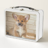 Corgi-hond (Voorkant)